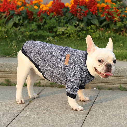 Bulldog Puppy Cat Pet Clothes Two-legged Clothing Knitting Wool Small Dogs Clothes