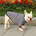 Bulldog Puppy Cat Pet Clothes Two-legged Clothing Knitting Wool Small Dogs Clothes