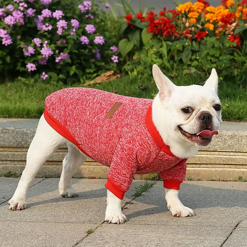 Bulldog Puppy Cat Pet Clothes Two-legged Clothing Knitting Wool Small Dogs Clothes