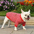 Bulldog Puppy Cat Pet Clothes Two-legged Clothing Knitting Wool Small Dogs Clothes